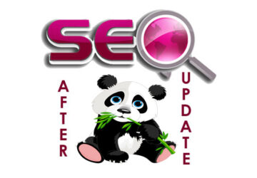 SEO-after-panda-update1